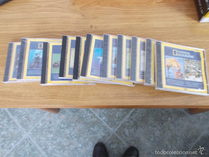 Cine: LOTE DE 11 DVD DE NATIONAL GEOGRAPHIC.
