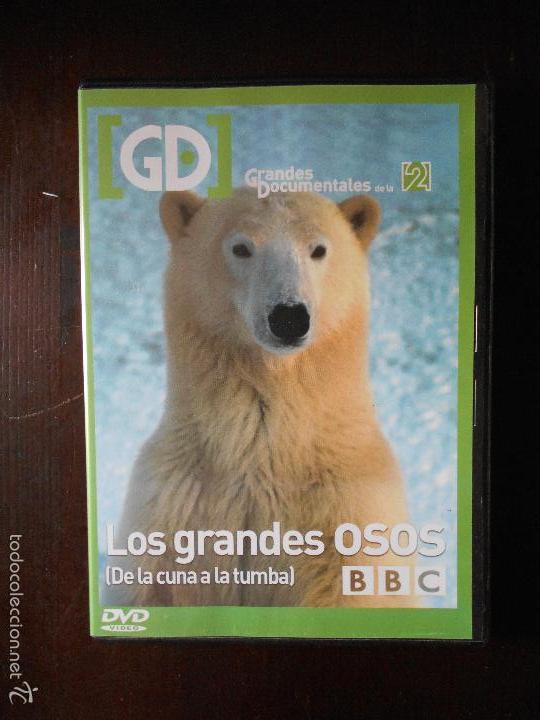 Cinema: DVD LOS GRANDES OSOS - DE LA CUNA A LA TUMBA - BBC - DOCUMENTALES DE LA 2 - COMO NUEVA (4N)
