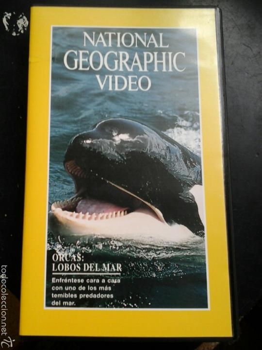 Cine: National geografic ORCAS