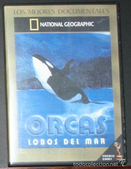 Kino: DVD - ORCAS LOBOS DE MAR - NATIONAL GEOGRAPHIC