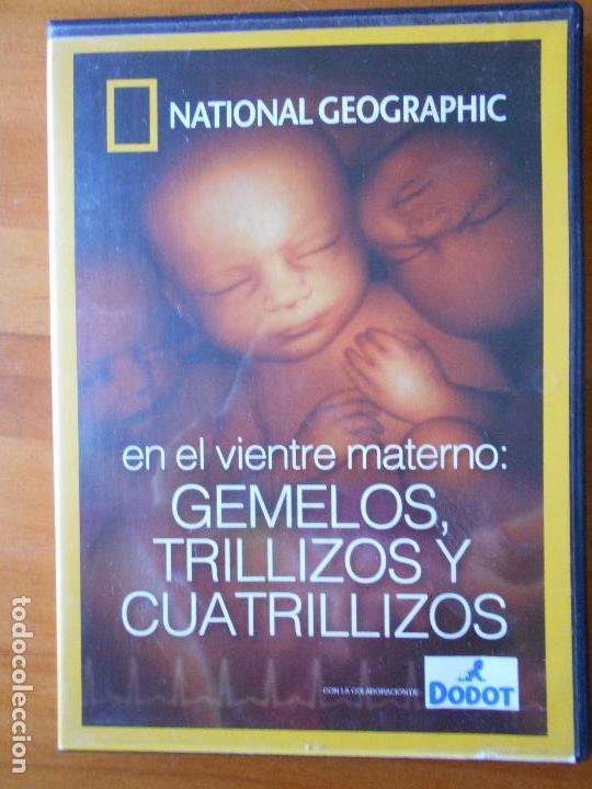 Cine: DVD EN EL VIENTRE MATERNO: GEMELOS, TRILLIZOS Y CUATRILLIZOS - NATIONAL GEOGRAPHIC (D4)