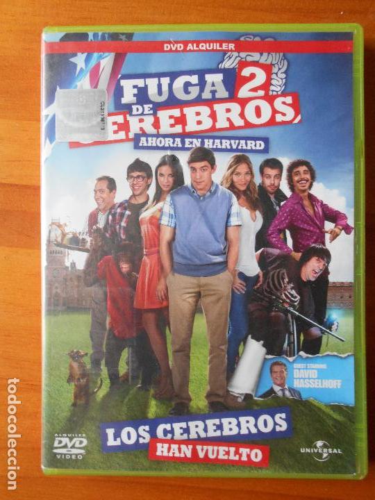 Cinema: DVD FUGA DE CEREBROS 2 - AHORA EN HARVARD - EDICION DE ALQUILER (H4)