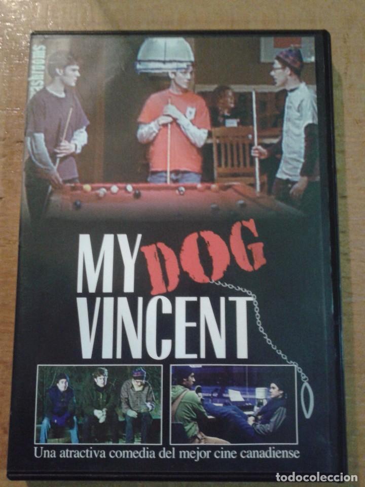 Cinema: MY DOG VINCENT -- DVD -- COMEDIA CANADIENSE --