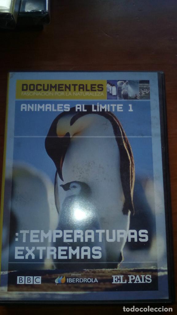 Cine: DVD ANIMALES AL LIMITE 1 TEMPERATURAS EXTREMAS