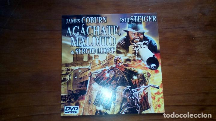 Cine: dvd  AGACHATE, MALDITO
