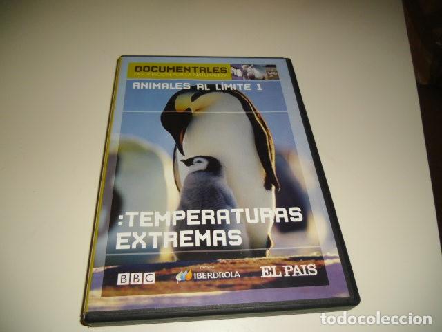Kino: DVD ANIMALES AL LIMITE 1 TEMPERATURAS EXTREMAS