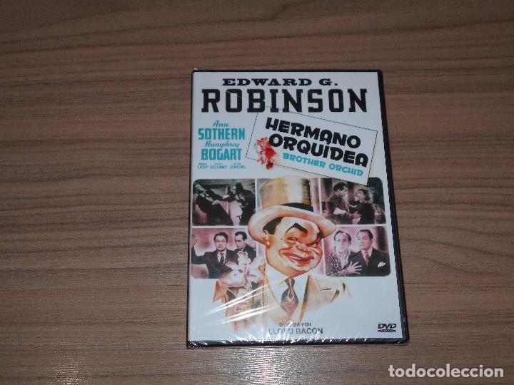 Cine: HERMANO ORQUIDEA DVD Humphrey Bogart NUEVA PRECINTADA