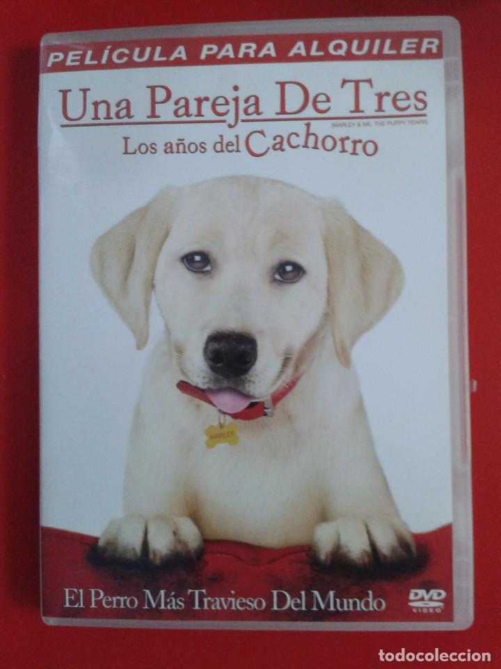 Cine: UNA PAREJA DE TRES (LOS A&Ntilde;OS DEL CHACHORRO). DVD