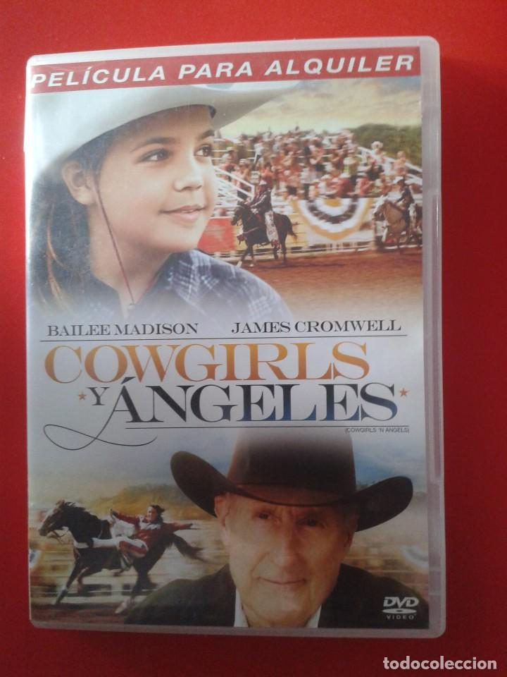 Cine: COWGIRLS Y ANGELES. DVD