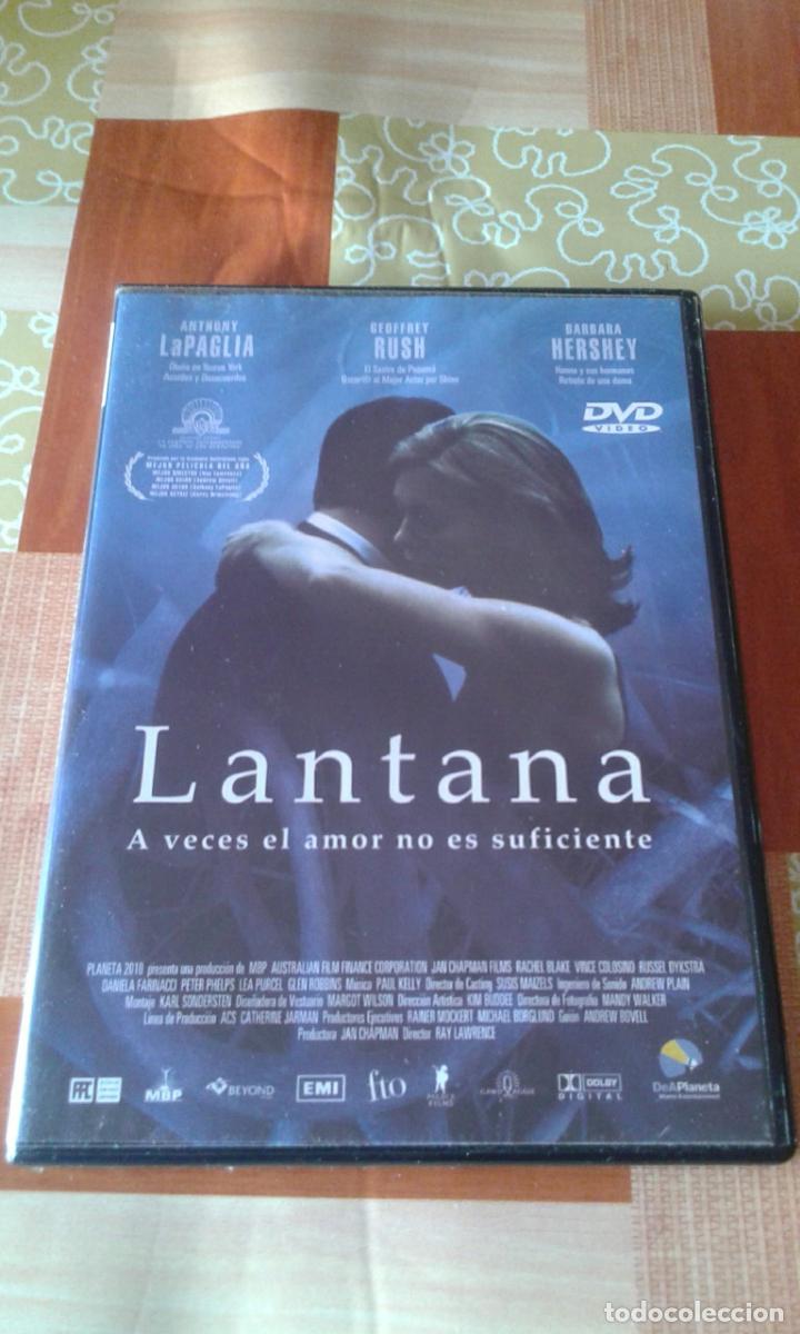 Kino: DVD - LANTANA , A VECES EL AMOR NO ES SUFICIENTE