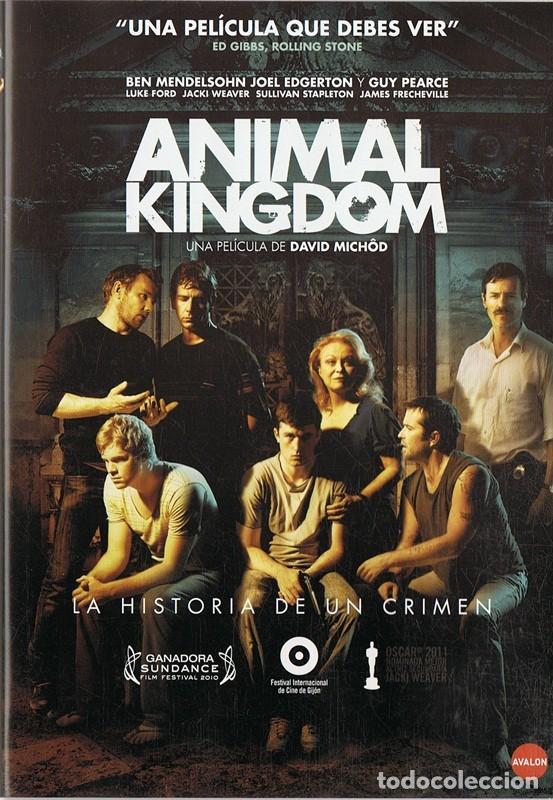 Cinema: DVD ANIMAL KINGDOM