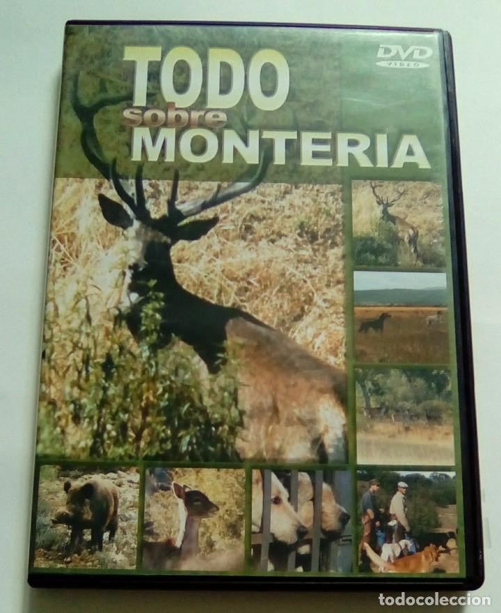 Cinema: TODO SOBRE MONTERIA.