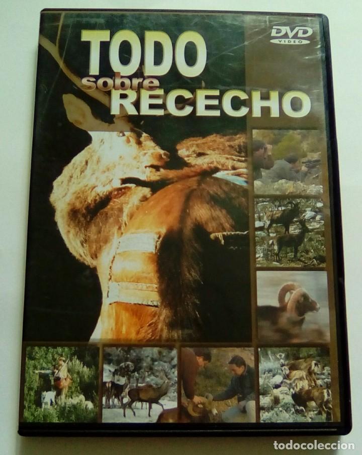 Cinema: TODO SOBRE RECECHO