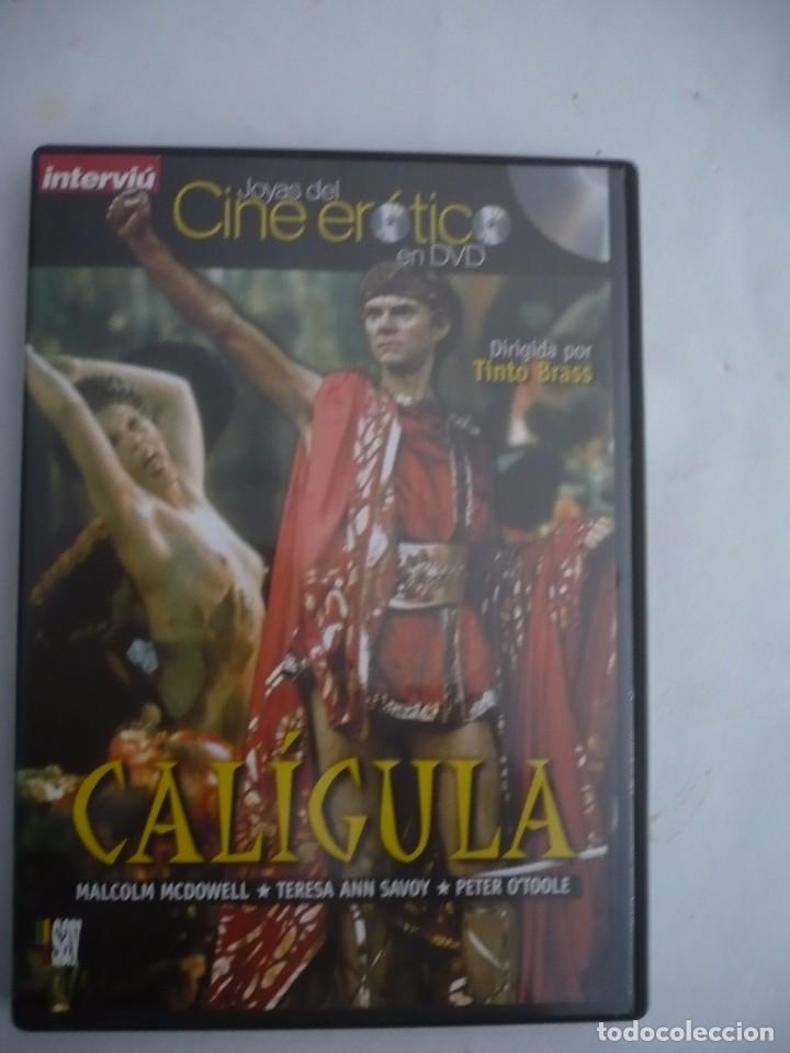 Cine: CALIGULA (1980) DVD. - Foto 1