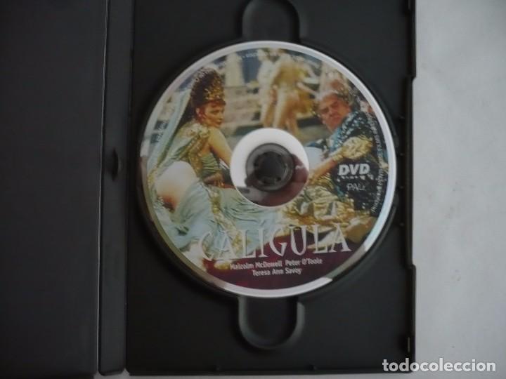 Cine: CALIGULA (1980) DVD. - Foto 2