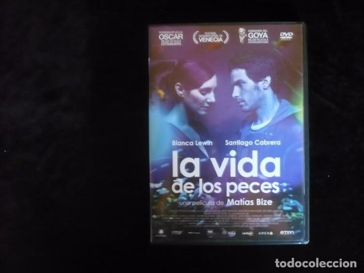 Cine: la vida de los peces - Foto 1
