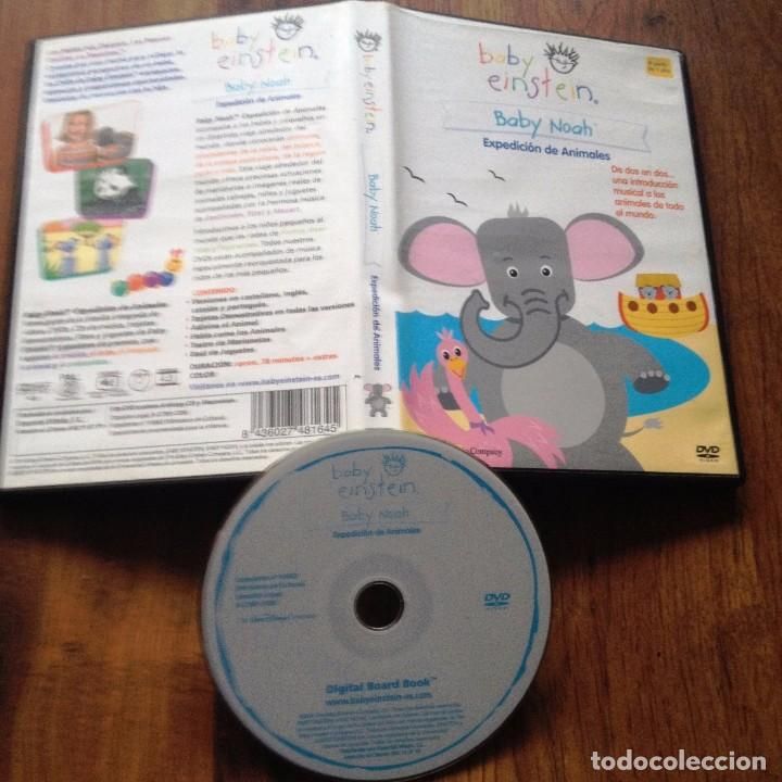 Baby Einstein Dvd Baby Noah Expedicion De Anima Sold Through Direct Sale Baby Einstein Dvd Baby Noah Expedicion De Anima Sold Through Direct Sale