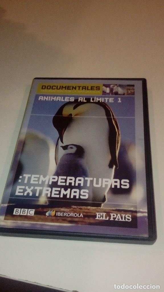 Kino: DVD TEMPERATURAS EXTREMAS ANIMALES AL LIMITE 1 DOCUMENTALES