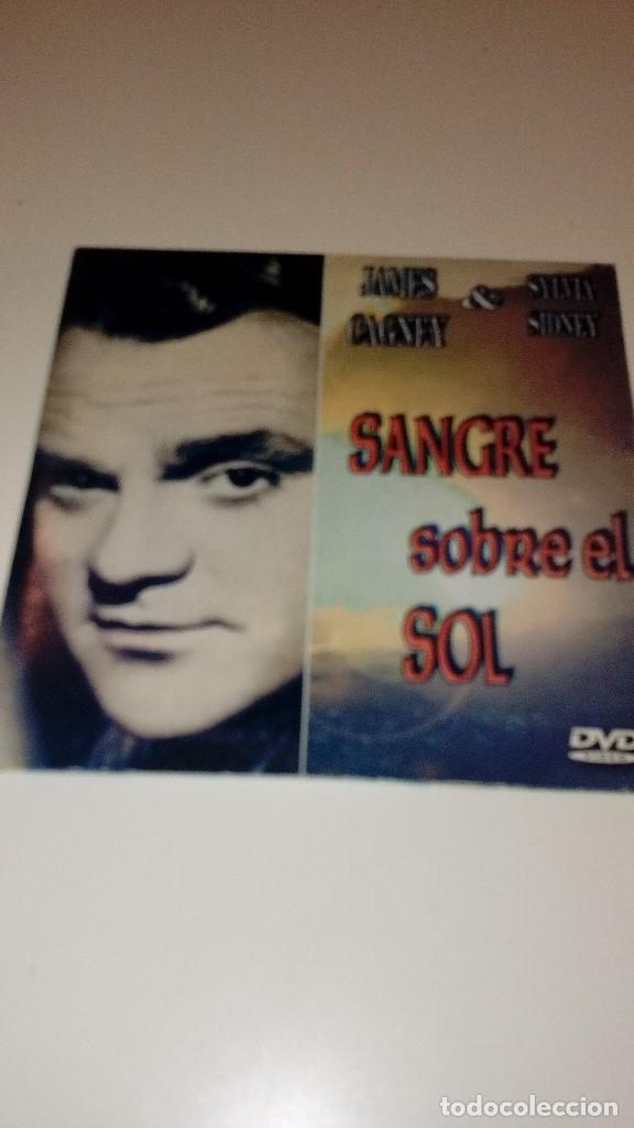 Kino: G-QK69V DVD SANGRE SOBRE EL SOL