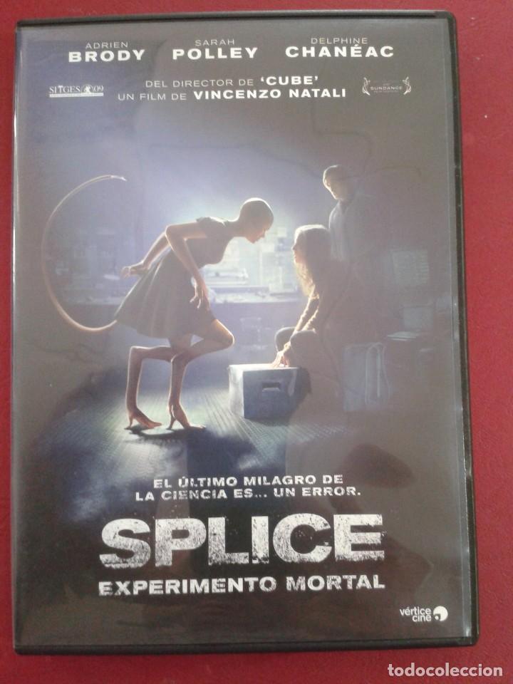 Cinema: SPLICE EXPERIMENTO MORTAL. DVD