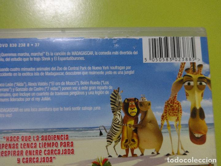 Cine: MADAGASCAR DVD - Foto 3