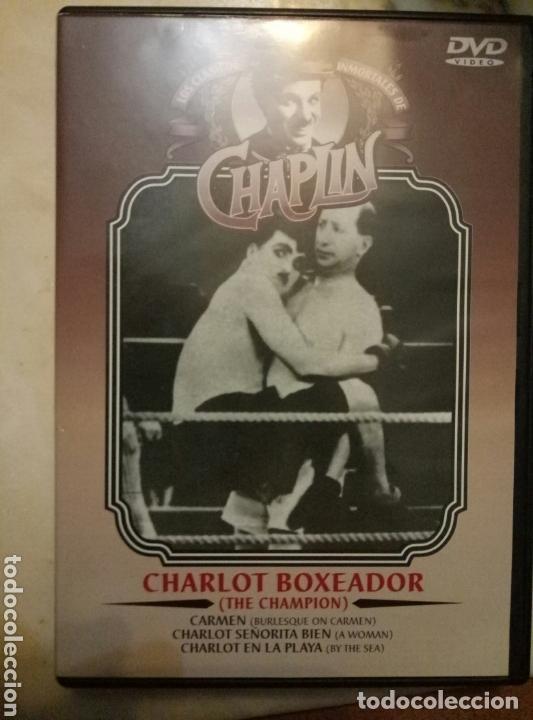 Cine: CHAPLIN - CHARLOT BOXEADOR - DVD CLASICOS INMORTALES