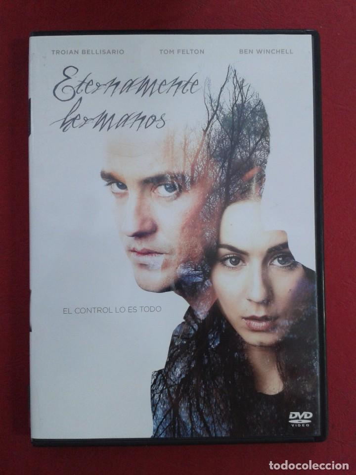 Cin&eacute;ma: ETERNAMENTE HERMANOS. DVD