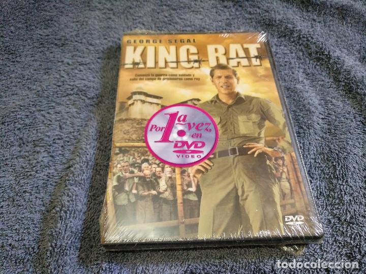 Cinema: King Ray DVD nuevo precintado