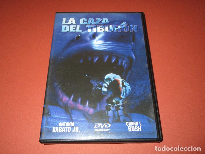 Cine: LA CAZA DEL TIBURON - DVD - REF.: 1544 - ONE FILMS - ANTONIO SABATO JR. - GRAND L. BUSH - Foto 2 - 206427941