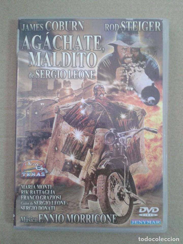 Cine: AGACHATE MALDITO