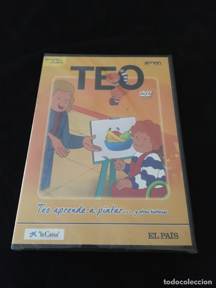 Cine: ( DVS4 ) TEO APRENDE A PINTAR Y OTRAS HISTORIAS ( dvd slim Segunda mano )
