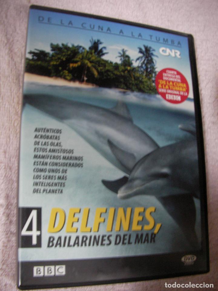 Cine: DOCUMENTAL DVD - DELFINES, BAILARINES DEL MAR - ENVIO INCLUIDO A ESPA&Ntilde;A