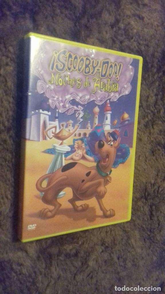 Cine: CINE DVD PELICULA SCOOBY-DOO NOCHES DE ARABIA