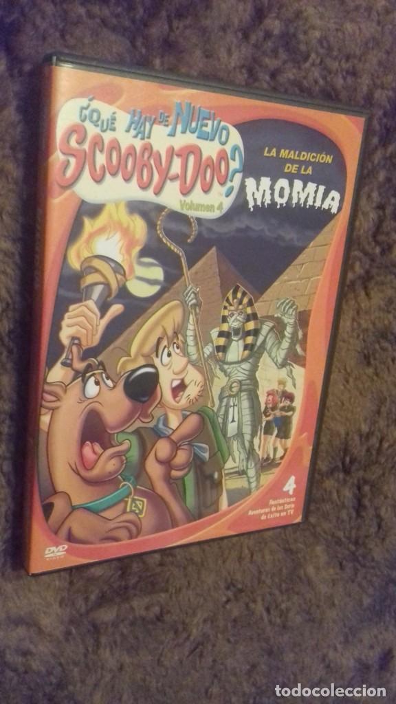 Cine: CINE DVD PELICULA SCOOBY-DOO LA MALDICION DE LA MOMIA