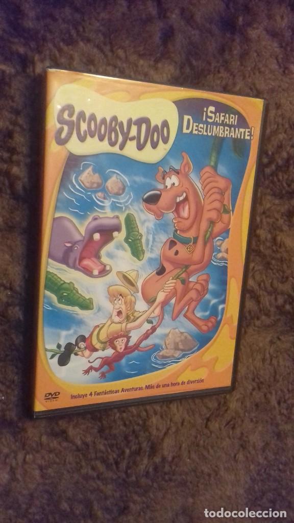 Cine: CINE DVD PELICULA SCOOBY-DOO SAFARI DESLUMBRANTE