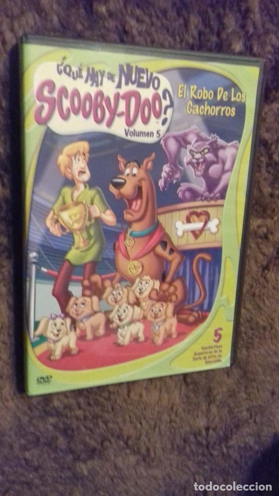 Cine: CINE DVD PELICULA SCOOBY-DOO EL ROBO DE LOS CACHORROS