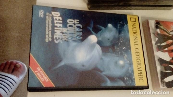 Cinema: G-4 DVD LA CARA OCULTA DE LOS DELFINES