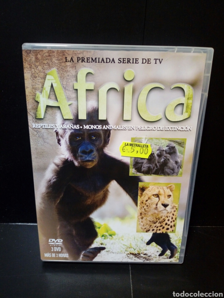 Cine: &Aacute;frica DVD - Foto 1
