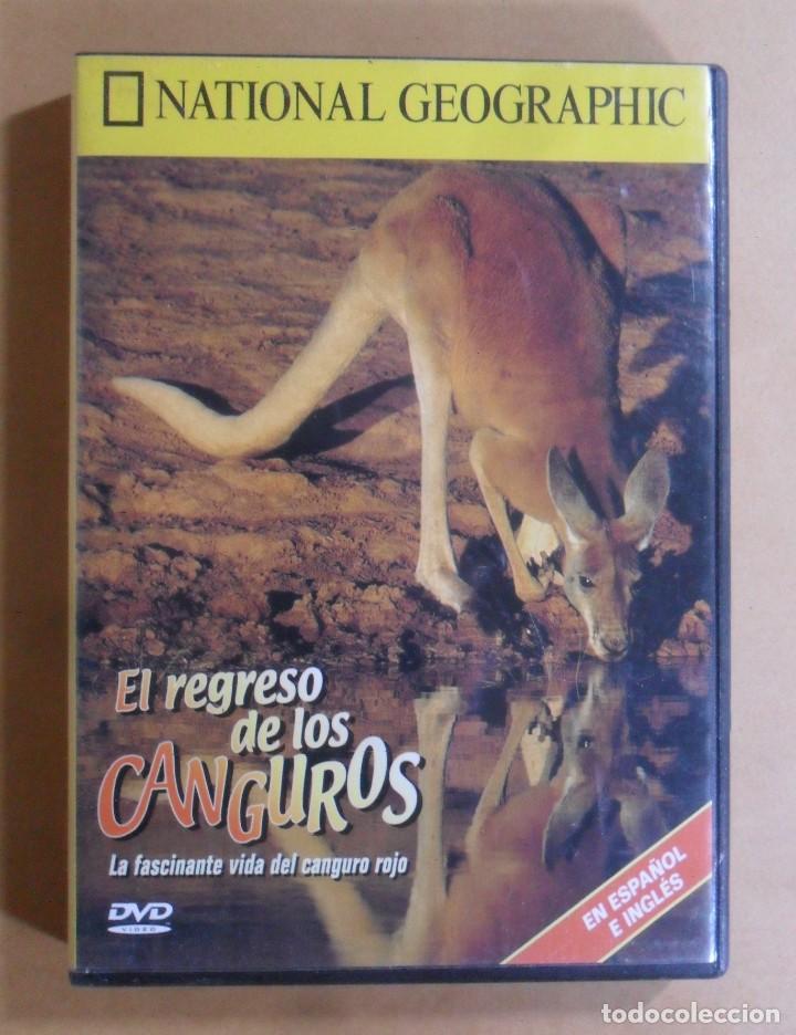 Kino: DVD - EL REGRESO DE LOS CANGUROS - NATIONAL GEOGRAPHIC ** ESPA&Ntilde;OL/INGLES