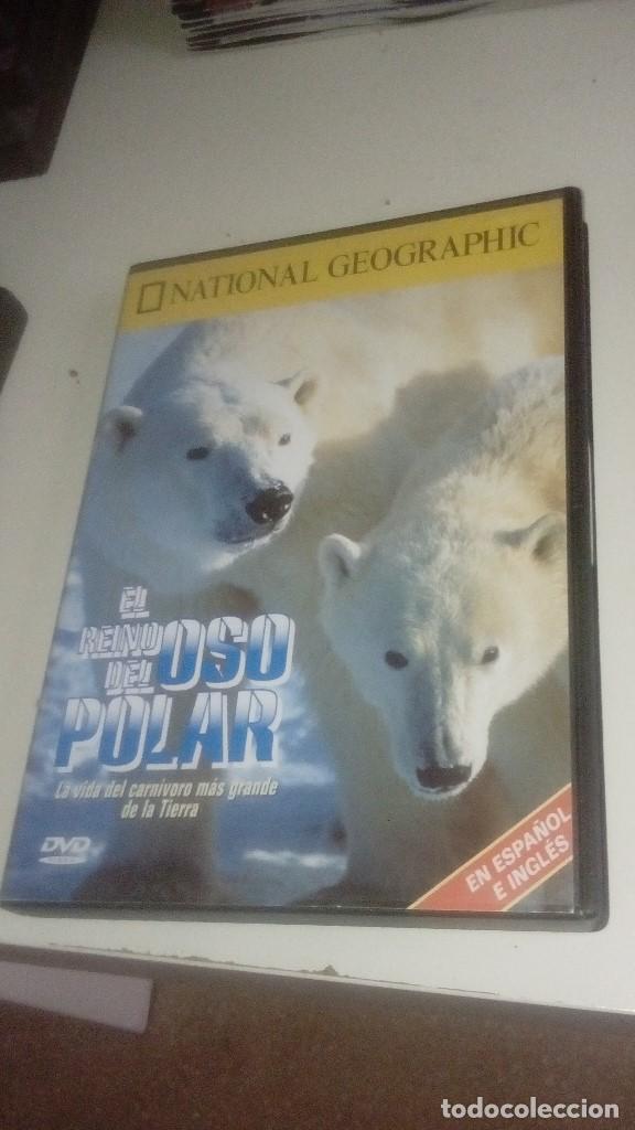 Cinema: G-COAC19 DVD NATIONAL GEOGRAPHIC EL REINO DEL OSO POLAR