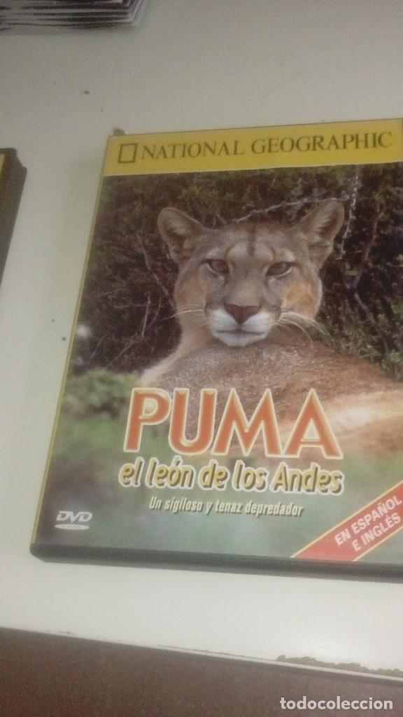 Cinema: G-COAC19 DVD NATIONAL GEOGRAPHIC PUMA EL LEON DE LOS ANDES