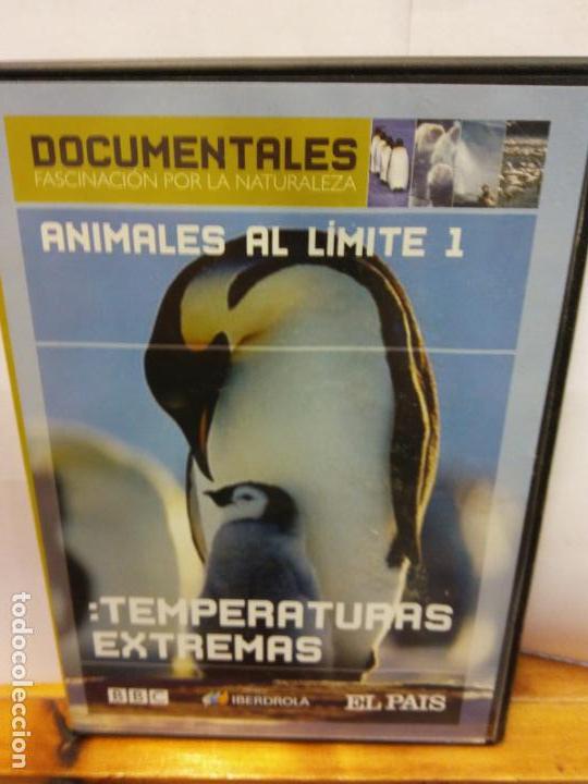 Cine: BJS.DVD.ANIMALES AL LIMITE 1.DOCUMENTAL.BRUMART TU CINE.