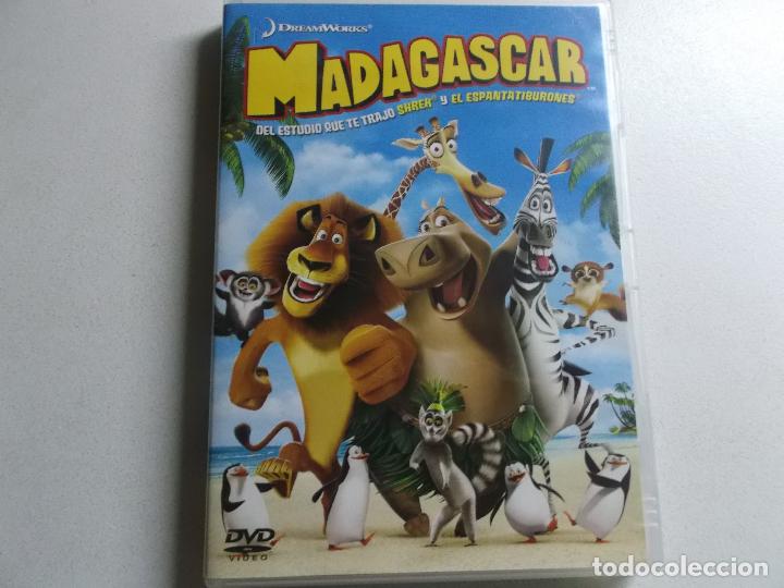 Cine: MADAGASCAR DVD DE DREAMWORKS - Foto 1