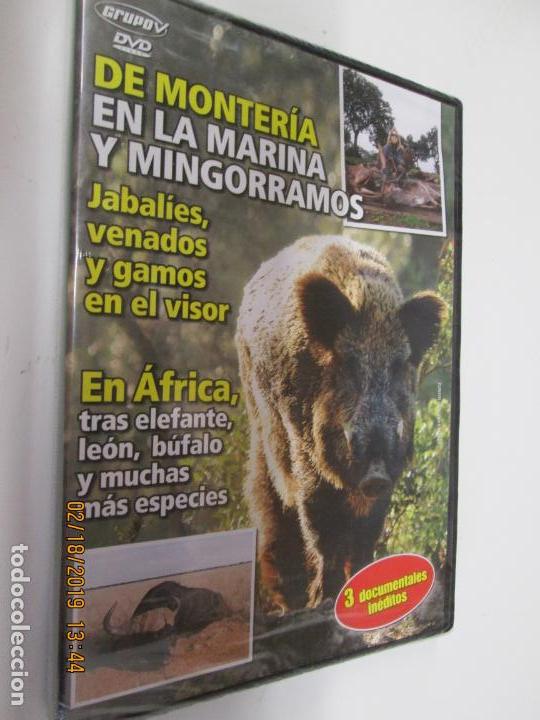 Cine: CAZA DE MONTERIA EN LA MARINA Y MINGORRAMOS +EN AFRICA,TRAS ELEFANTE,LE&Oacute;N,BUFALO Y MUCHAS M&Aacute;S.......