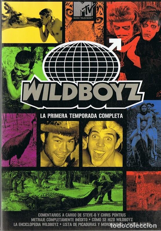 Cine: WILDBOYZ LA PRIMERA TEMPORADA COMPLETA ( 2 DISCOS)