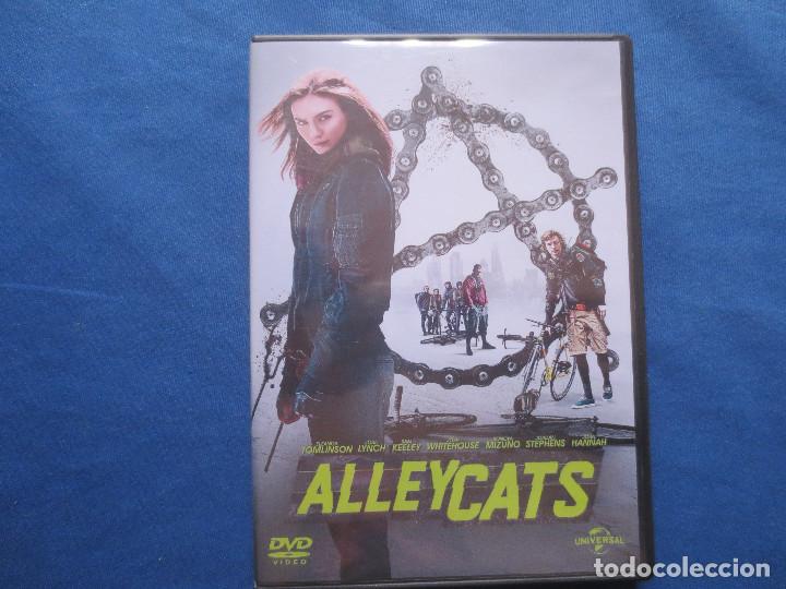 Cine: DVD - ALLEYCATS - EDICI&Oacute;N ESPA&Ntilde;OLA