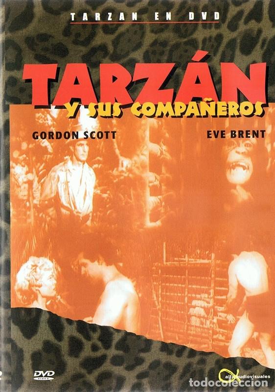 Cinema: TARZ&Aacute;N Y SUS COMPA&Ntilde;EROS GORDON SCOTT