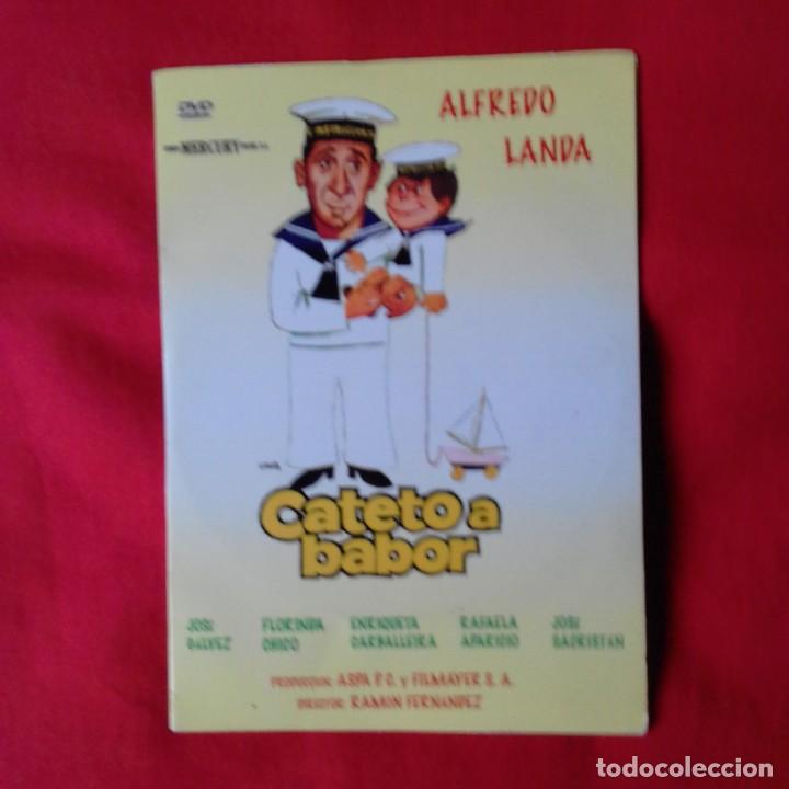 Cine: CATETO A BABOR - Foto 1