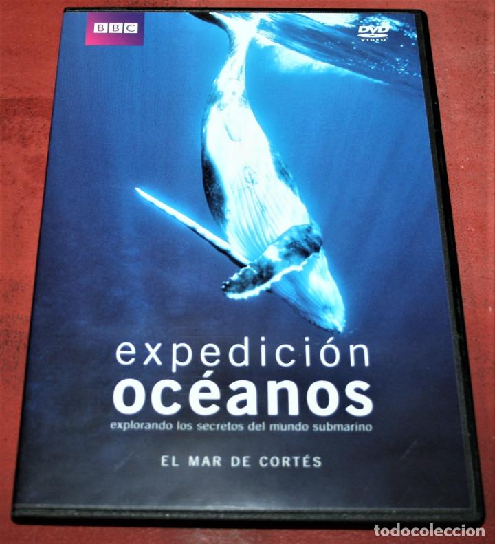 Cine: DVD - EXPEDICI&Oacute;N OC&Eacute;ANOS - EL MAR DE CORT&Eacute;S - BBC