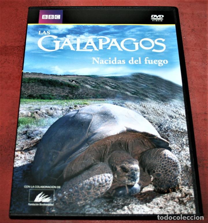 Cine: DVD - LAS GAL&Aacute;PAGOS - NACIDAS DEL FUEGO - BBC